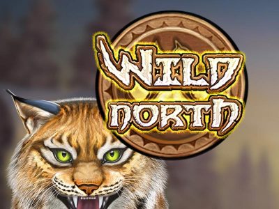 Wild North Online Slot Review