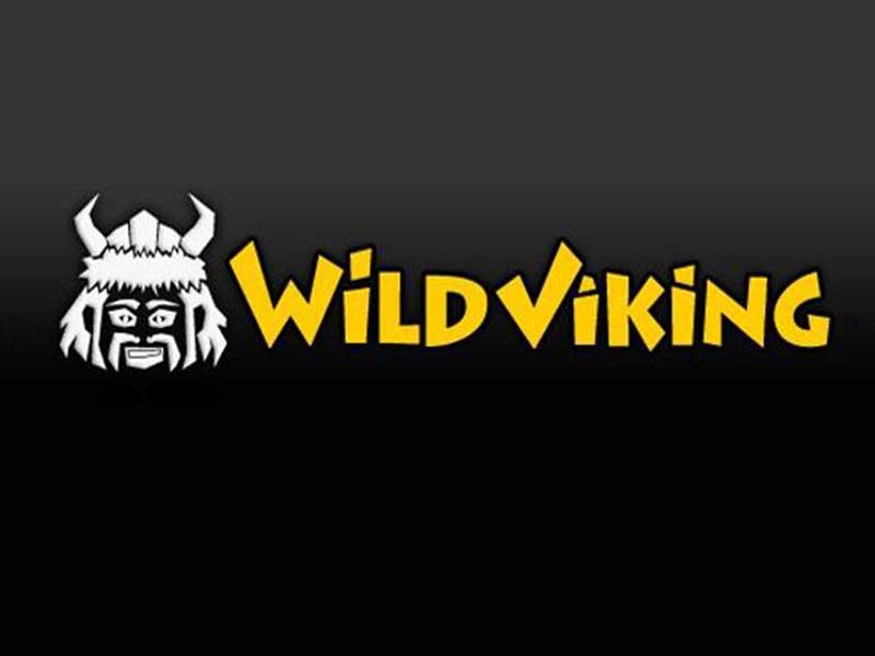 Wild Viking Slot